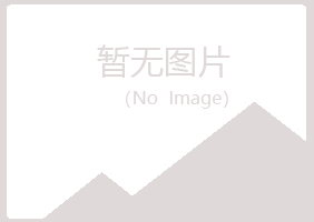 福山区冬寒会计有限公司